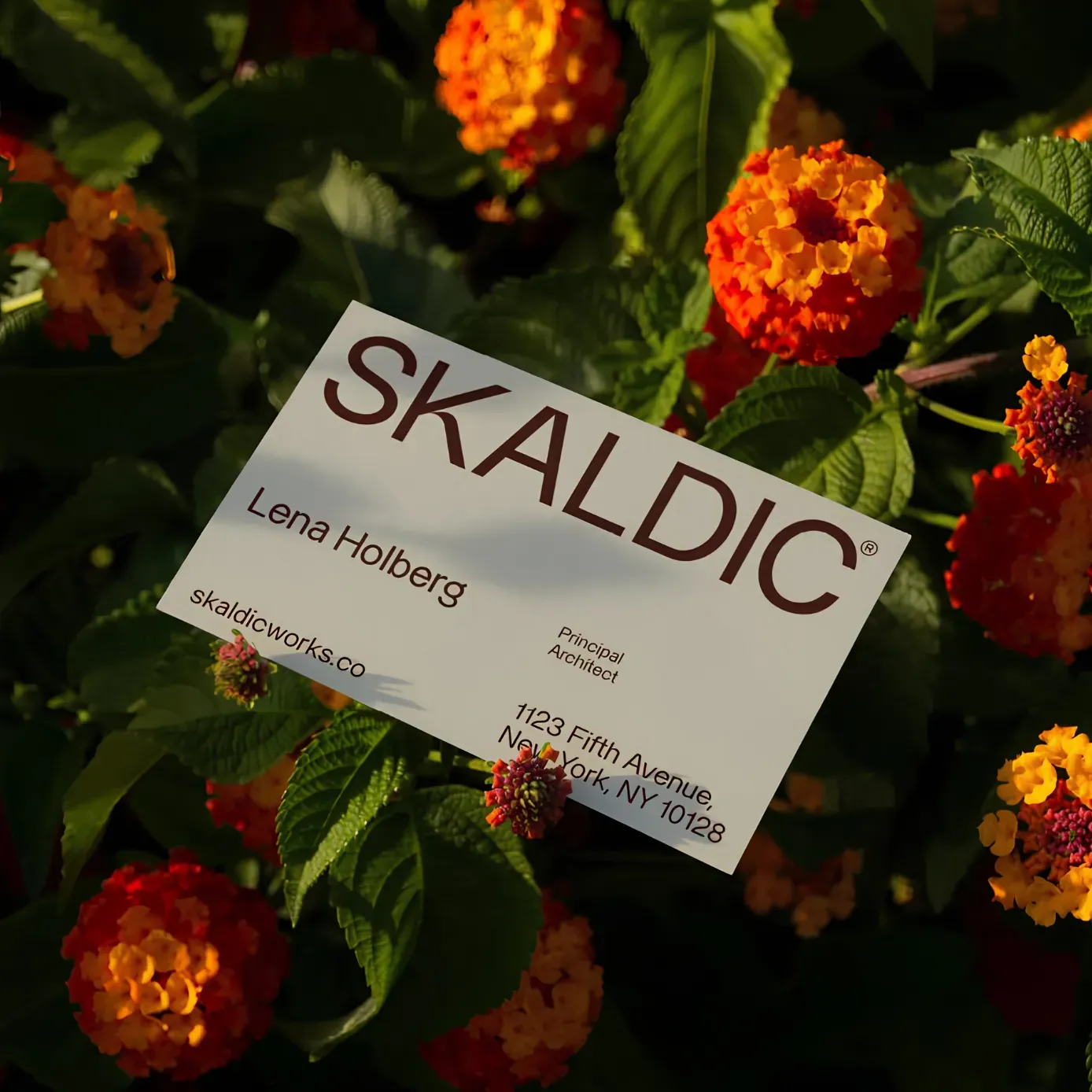 Premium Business Cards