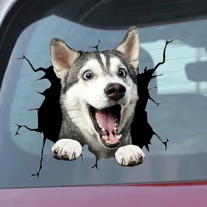 Car Window Decals