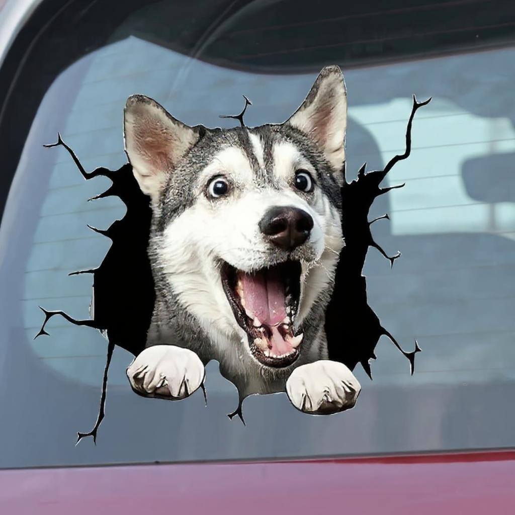 Car Window Decals
